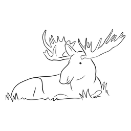 Esboço de grama de chifre de alce Desenho PNG