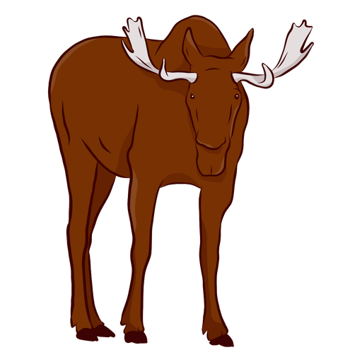 Moose elk antler hoof illustration