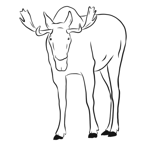 Moose elk antler hoof sketch PNG Design