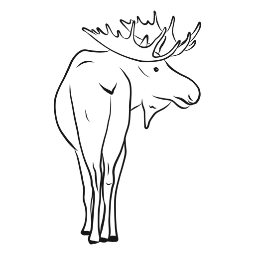 Moose elk antler sketch PNG Design