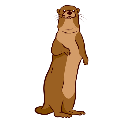 Otter muzzle leg illustration