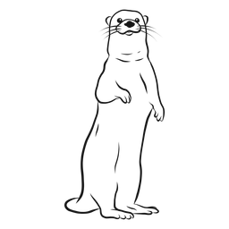 Otter muzzle leg sketch PNG Design
