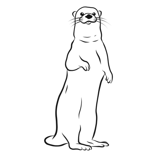 Desenho de perna de focinho de lontra Desenho PNG