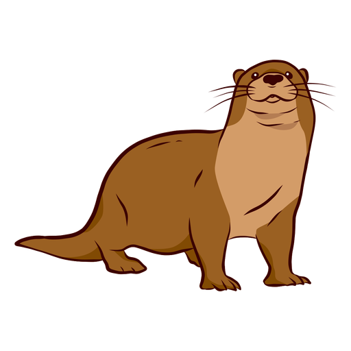 Otter muzzle leg tail whisker illustration