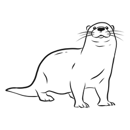 Otter Schnauze Bein Schwanz Whisker Skizze PNG-Design