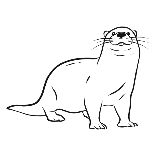 Desenho de bigode de cauda de perna de lontra