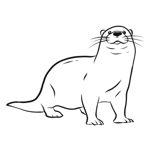 Otter muzzle leg tail whisker sketch PNG Design