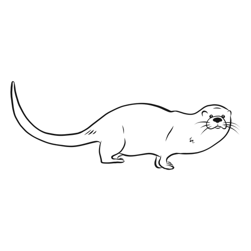 Desenho de focinho de lontra Desenho PNG