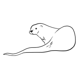 Dibujo de cola de hocico de nutria Diseño PNG