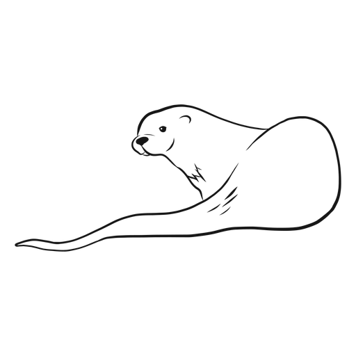 Desenho de cauda de focinho de lontra Desenho PNG
