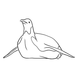 Dibujo de rastreo de pico de ala de pingüino Diseño PNG