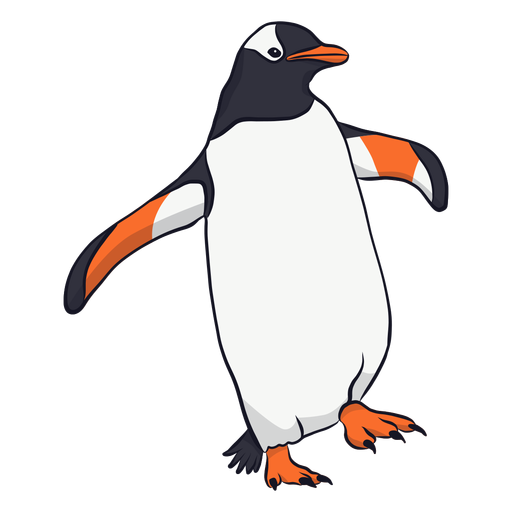 Penguin wing beak illustration