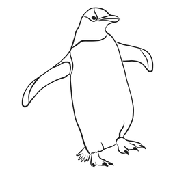 Penguin wing beak sketch PNG Design