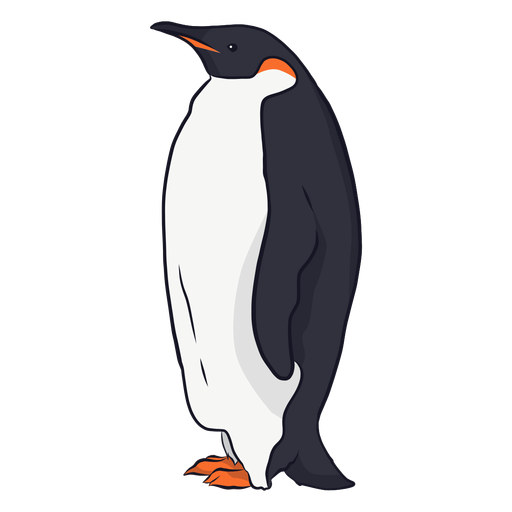 Penguin wing beak tail fat illustration