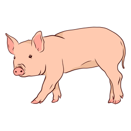 Ilustración de pezuña de oreja de hocico de cerdo Diseño PNG