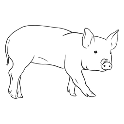 Desenho de casco de orelha de focinho de porco Desenho PNG