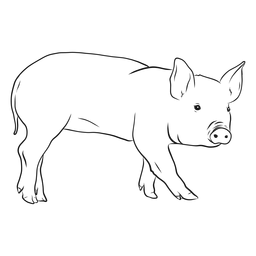 Pig snout ear hoof sketch PNG Design