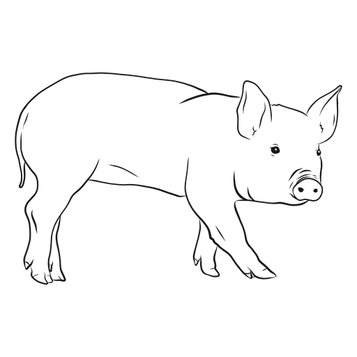 Bosquejo de pezuña hocico oreja de cerdo Transparent PNG Bosquejo de pezuña hocico oreja de cerdo Transparent PNG
