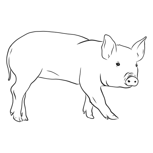 Pig snout ear hoof sketch PNG Design