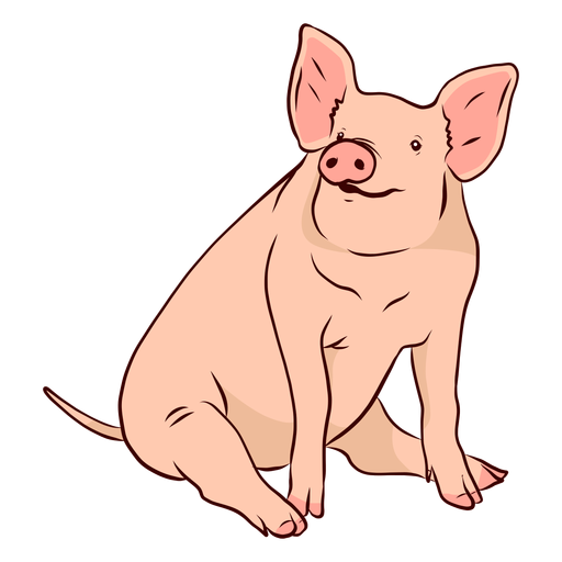 Pig snout ear tail hoof illustration