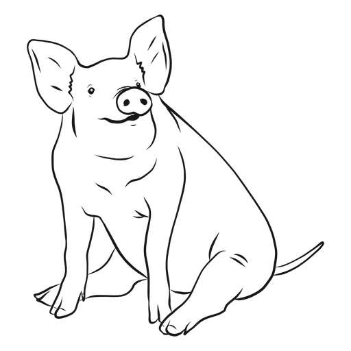 Pig snout ear tail hoof sketch PNG Design