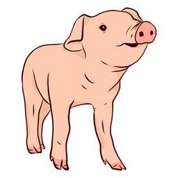 Pig snout hoof illustration PNG Design