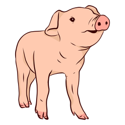 Schwein Schnauze Huf Illustration PNG-Design