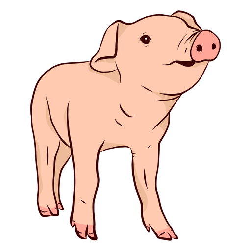 Pig snout hoof illustration