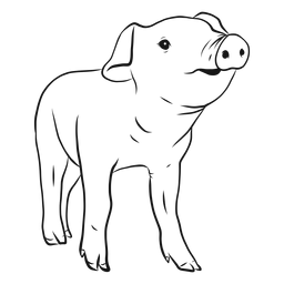 Dibujo de pezuña de hocico de cerdo Diseño PNG