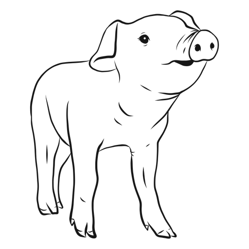 Pig snout hoof sketch PNG Design