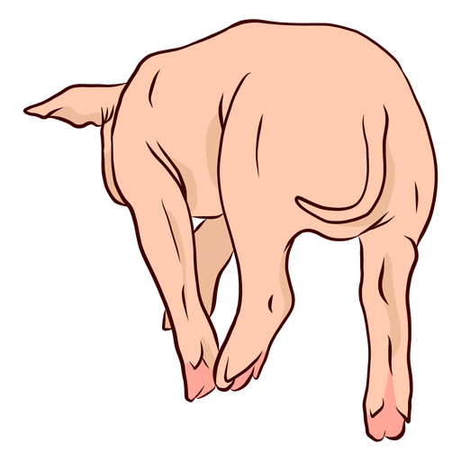 Ilustración de pezuña de cola de cerdo Diseño PNG