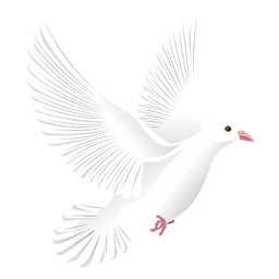 Taubenflügelschwanzschnabelillustration PNG-Design