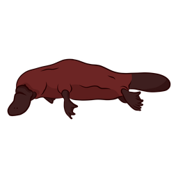Ilustração da cauda do bico de pato ornitorrinco Desenho PNG
