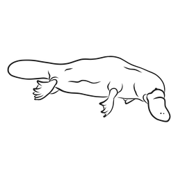 Esboço da cauda da perna do bico de pato ornitorrinco Desenho PNG