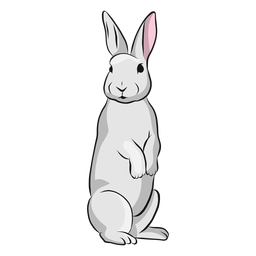 Ilustração de orelha com focinho de coelho Desenho PNG