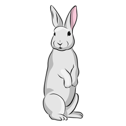 Rabbit bunny muzzle ear illustration PNG Design Transparent PNG