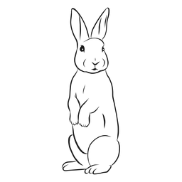 Rabbit bunny muzzle ear sketch Transparent PNG