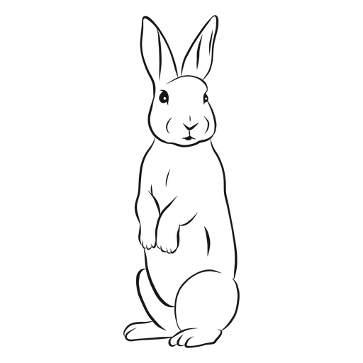 Rabbit bunny muzzle ear sketch PNG Design