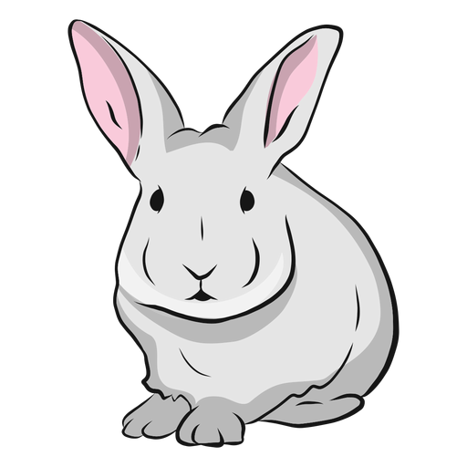 Rabbit muzzle ear illustration PNG Design