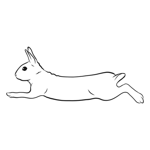 Bosquejo de carrera de conejo Diseño PNG