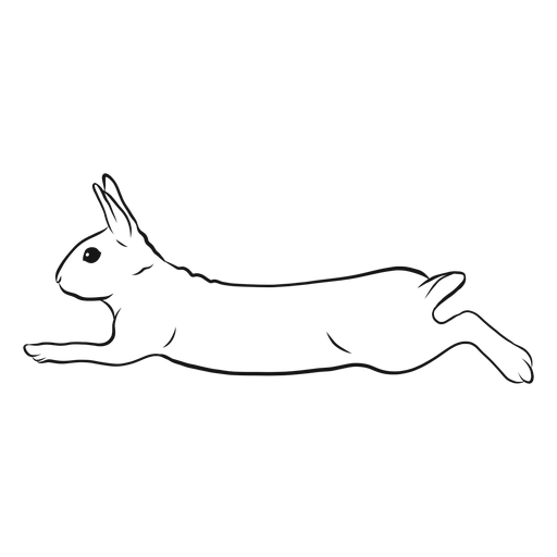 Rabbit run sketch - Transparent PNG & SVG vector file