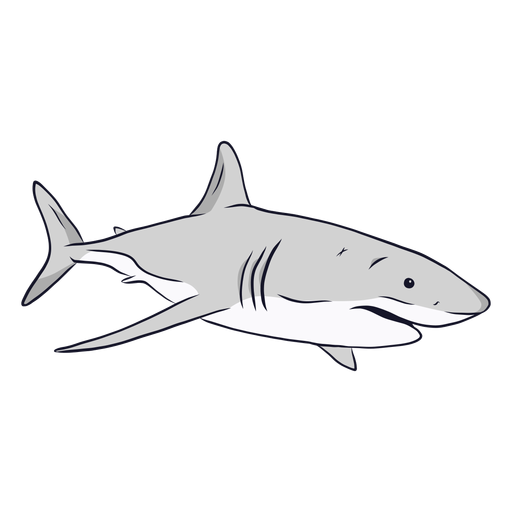 Shark gills fin tail illustration