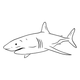 Esboço da cauda da barbatana das guelras de tubarão Desenho PNG
