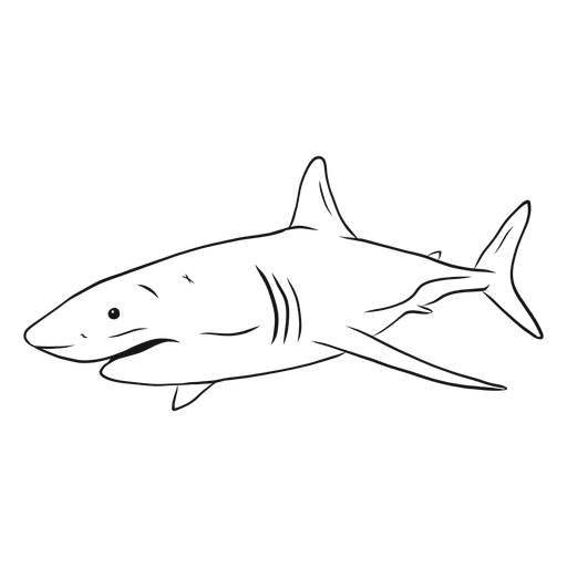 Free Free 169 Shark Tail Svg SVG PNG EPS DXF File