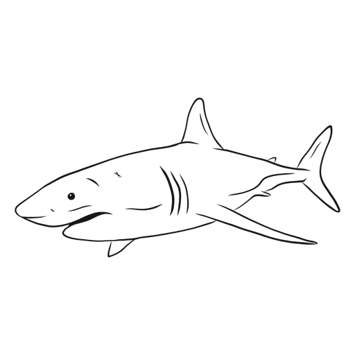 Shark gills fin tail sketch PNG Design