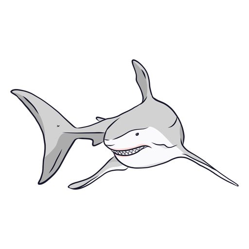 Download Shark tooth fin tail illustration - Transparent PNG & SVG ...