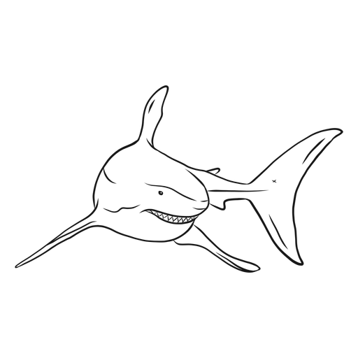 Desenho de cauda de barbatana de dente de tubarão Desenho PNG