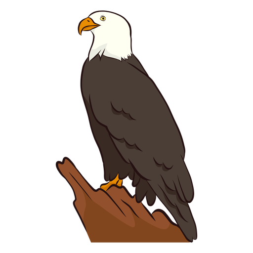 Ilustração asa águia Desenho PNG