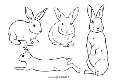 Conjunto de ilustración de trazo de conejo