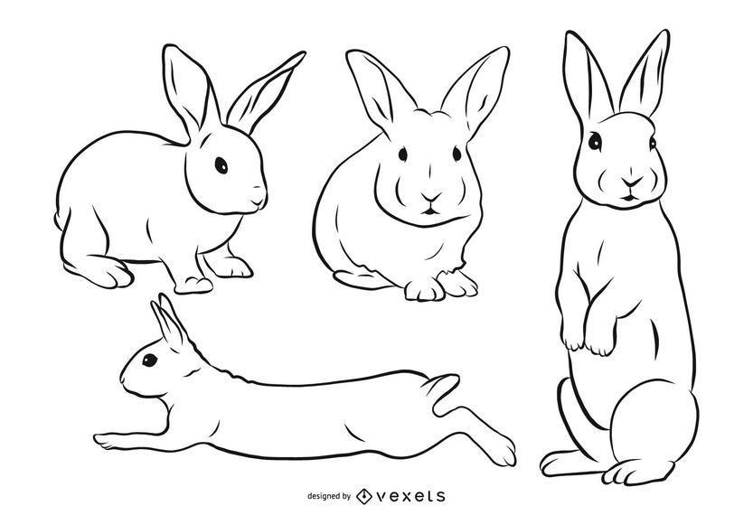 Conjunto de ilustración de trazo de conejo Conjunto de ilustración de trazo de conejo